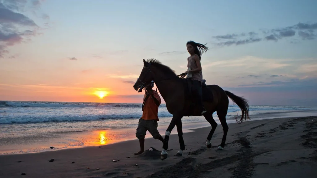 Personalized Program